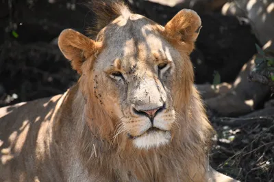 DSC_3583 (Large).JPG